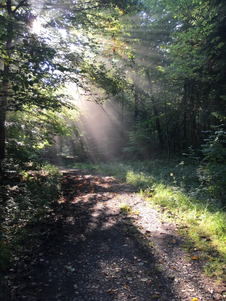 Sandra Meyer @ Frau Meyer bewegt - Systemische Beratung, Professionelles Coaching, kreative Unterstützung, Yoga, Meditation, Yogakurse, Präventionskurse, Yoga Einzelunterricht, Personal Yoga, Workshops, Online Yogakurse