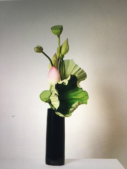fraumeyerbeweg-flower-header-hero-section